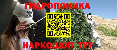 марки lsd Бийск