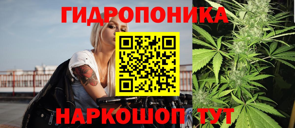 Бошки Шишки марихуана Керчь